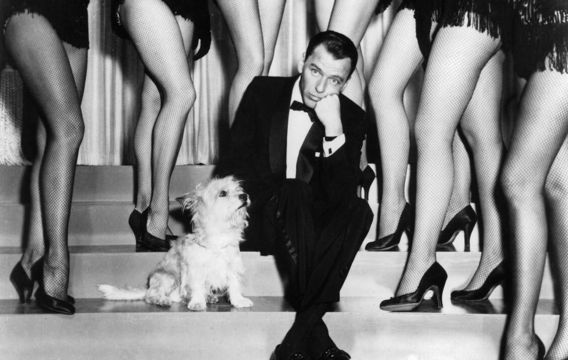 Chic Dogs Book by Assouline